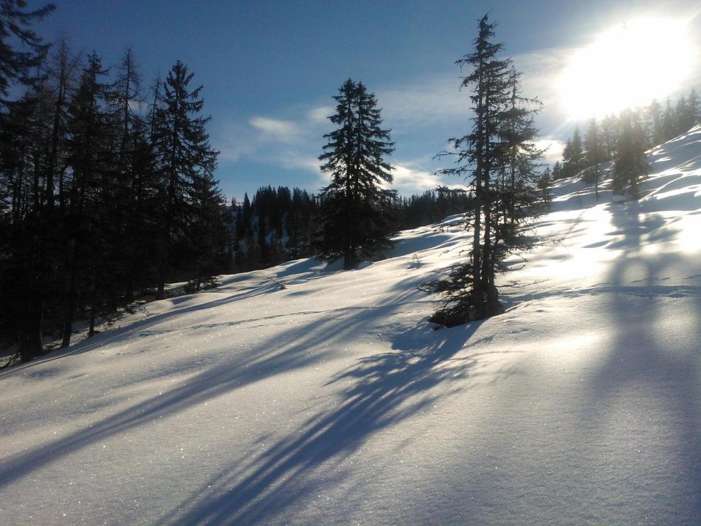 Hanslerfeld Alpbach Exterior foto